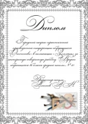 A4 250 гр., односторонняя, матовая